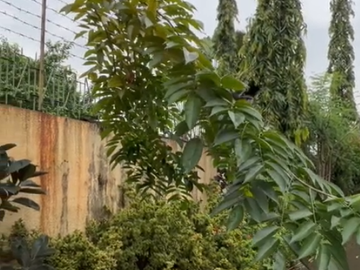 FOR SALE flood-free House located at Heroes Hill Subd., Brgy. Santa Cruz, Quezon City