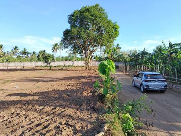 Farm Lot For Sale, Daine II, Indang Cavite