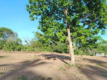 Farm Lot For Sale, Daine II, Indang Cavite