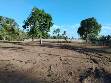 Farm Lot For Sale, Daine II, Indang Cavite