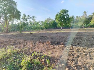 Farm Lot For Sale, Daine II, Indang Cavite