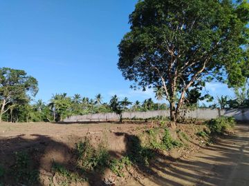 Farm Lot For Sale, Daine II, Indang Cavite