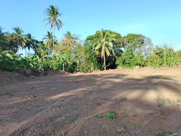 Farm Lot For Sale, Daine II, Indang Cavite