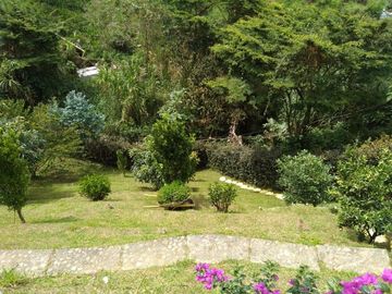 Venta hermosa Finca, Vereda Quebrada Arriba, Copacabana Antioquia.