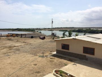 N15 - Camaronera en Venta 80 hectáreas en Santa Elena
