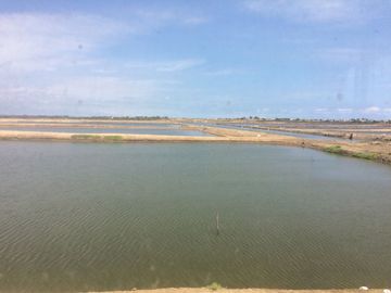 N15 - Camaronera en Venta 80 hectáreas en Santa Elena