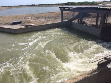 N15 - Camaronera en Venta 80 hectáreas en Santa Elena