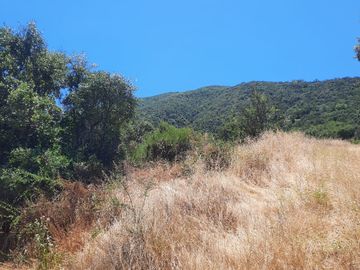 OPORTUNIDAD Reserva Rucalhue de la Quebrada del Ají, Quillota.