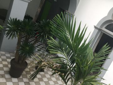 Casa Remodelada  con 6 departamentos en venta Centro Guadalajara