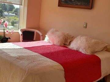 DEPARTAMENTO ESTILO MARIPOSA , EDIF. LOS COLONOS, PUERTO VARAS