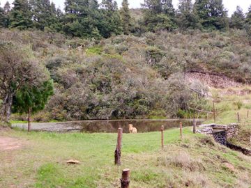 EN VENTA HACIENDA TURISTICA, SECTOR PUCA, NABON