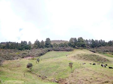 EN VENTA HACIENDA TURISTICA, SECTOR PUCA, NABON