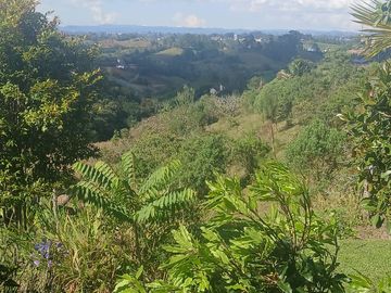 Venta de finca en el oriente antioqueña, vereda El Canada, Carmen de vivoral