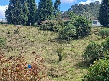 Venta de finca en el oriente antioqueña, vereda El Canada, Carmen de vivoral