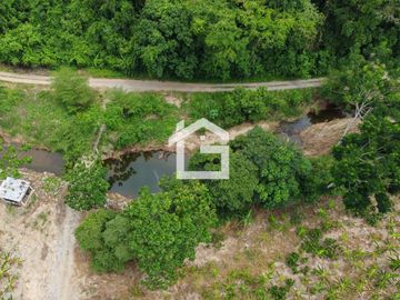 Finca de 49 Has en Venta en Santa Marianita, Arenillas