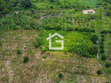 Finca de 49 Has en Venta en Santa Marianita, Arenillas