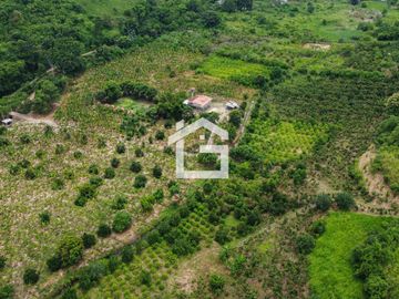 Finca de 49 Has en Venta en Santa Marianita, Arenillas