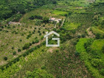 Finca de 49 Has en Venta en Santa Marianita, Arenillas