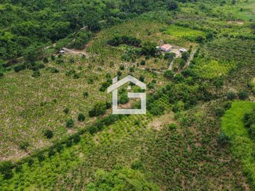 Finca de 49 Has en Venta en Santa Marianita, Arenillas