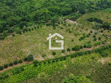 Finca de 49 Has en Venta en Santa Marianita, Arenillas
