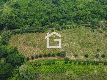 Finca de 49 Has en Venta en Santa Marianita, Arenillas
