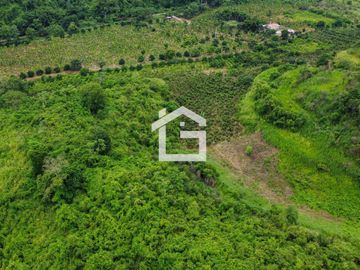 Finca de 49 Has en Venta en Santa Marianita, Arenillas