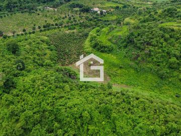 Finca de 49 Has en Venta en Santa Marianita, Arenillas