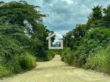 Finca de 49 Has en Venta en Santa Marianita, Arenillas