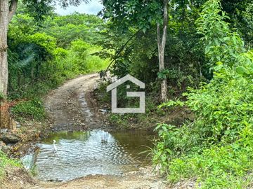 Finca de 49 Has en Venta en Santa Marianita, Arenillas