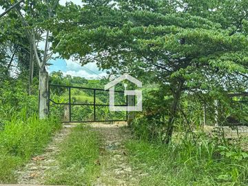 Finca de 49 Has en Venta en Santa Marianita, Arenillas