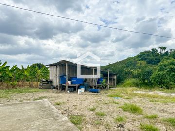 Finca de 49 Has en Venta en Santa Marianita, Arenillas