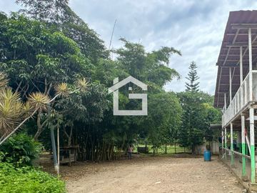 Finca de 49 Has en Venta en Santa Marianita, Arenillas