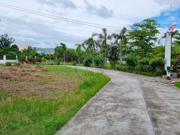 5 Spacious Bedrooms FOR SALE: SPANISH-STYLE BUNGALOW IN TALISAY CITY, CEBU, PHILIPPINES