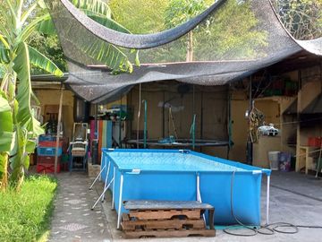 Venta de casa grande en Amaime Palmira