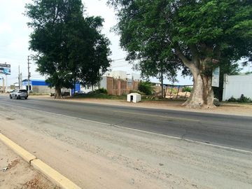 Terreno de 2.2 HA a 300m de la Panamericana Sur en Ica!  Casa de Campo o Proyecto Rural  🌳🍃