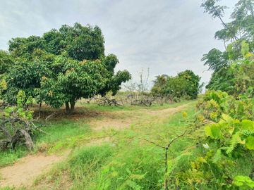 Terreno de 2.2 HA a 300m de la Panamericana Sur en Ica!  Casa de Campo o Proyecto Rural  🌳🍃