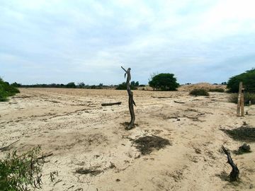 Terreno de 2.2 HA a 300m de la Panamericana Sur en Ica!  Casa de Campo o Proyecto Rural  🌳🍃