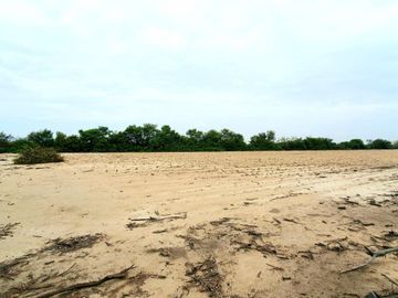 Terreno de 2.2 HA a 300m de la Panamericana Sur en Ica!  Casa de Campo o Proyecto Rural  🌳🍃