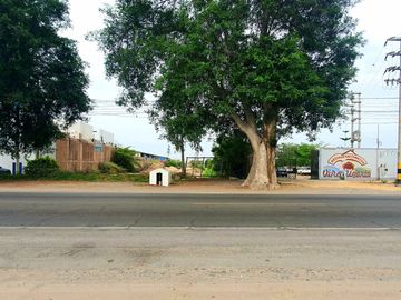 Terreno de 2.2 HA a 300m de la Panamericana Sur en Ica!  Casa de Campo o Proyecto Rural  🌳🍃