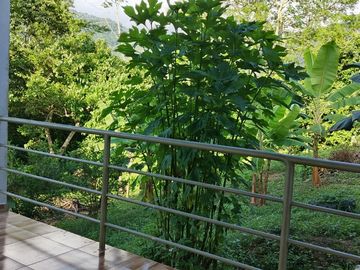 Casa de Campo en Tarapoto – Ideal para Airbnb o Relax en la Naturaleza