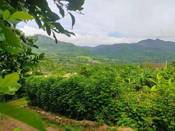 Casa de Campo en Tarapoto – Ideal para Airbnb o Relax en la Naturaleza