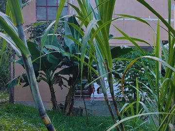 Casa de Campo en Tarapoto – Ideal para Airbnb o Relax en la Naturaleza