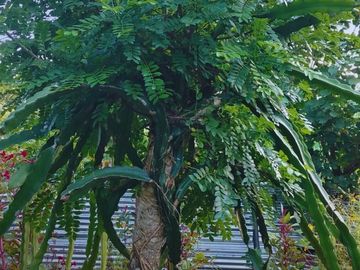 Casa de Campo en Tarapoto – Ideal para Airbnb o Relax en la Naturaleza