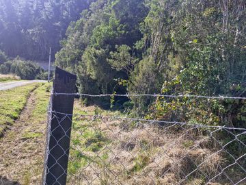 PARCELA, ETAPA 1, HACIENDA CHAMIZA, PUERTO MONTT