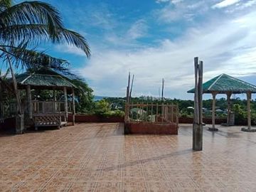Boracay Villa with Swimming Pool -  For Commercial / Residential