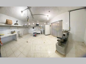 RANCHO AVÍCOLA ORGÁNICO - VENTA - ZUAZUA N.L.