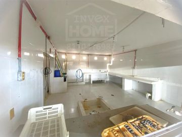 RANCHO AVÍCOLA ORGÁNICO - VENTA - ZUAZUA N.L.