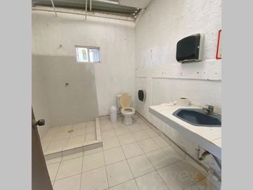 RANCHO AVÍCOLA ORGÁNICO - VENTA - ZUAZUA N.L.