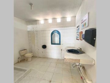RANCHO AVÍCOLA ORGÁNICO - VENTA - ZUAZUA N.L.