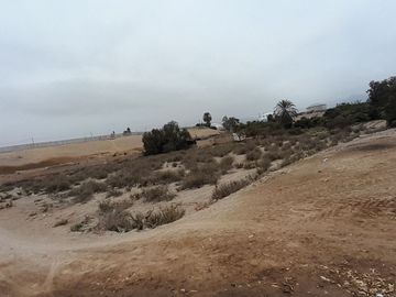CHINCHA ALTA / TERRENO EN VENTA